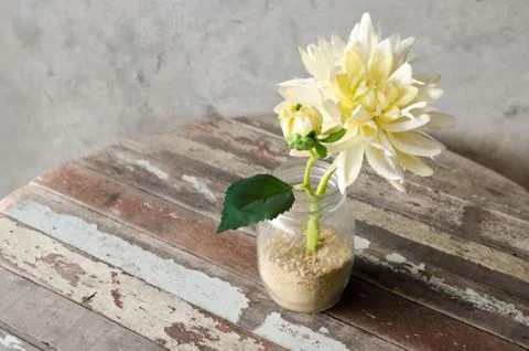 Artificial Flower Stock Photos