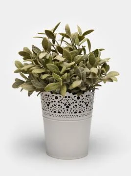 Artificial flower in pot isolate on white background Stock Photos