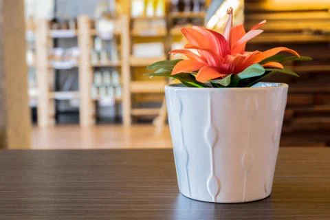 Artificial flower pot. Stock Photos