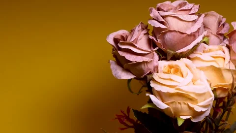 Artificial flower on yellow background with lighting effect Stock Footage 251123246