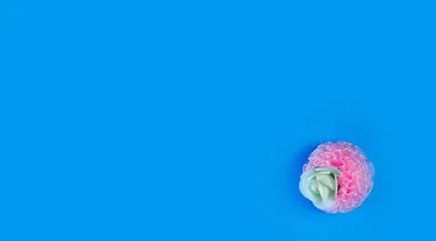 Artificial flowers on a blue background frame for text. copy space one Stock Photos