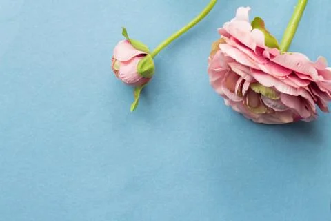 Artificial flowers closeup Stock Photos