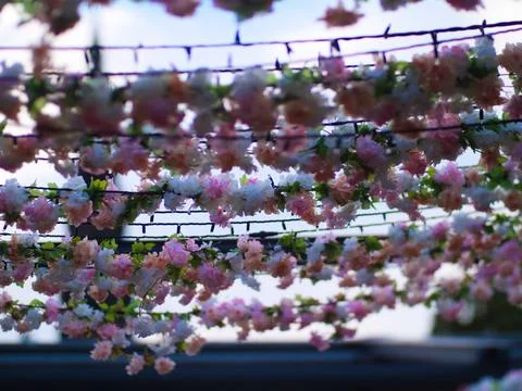 Artificial flowers decoration stringing outdoor ceiling Foto stock