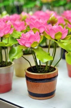 Artificial flowers Stock Photos