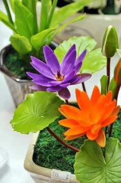 Artificial flowers Stock Photos