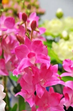 Artificial flowers Stock Photos