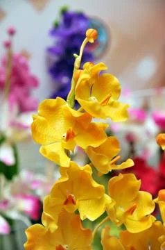 Artificial flowers Stock Photos
