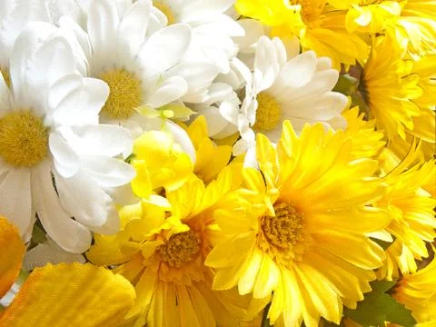 Artificial flowers Stock Photos