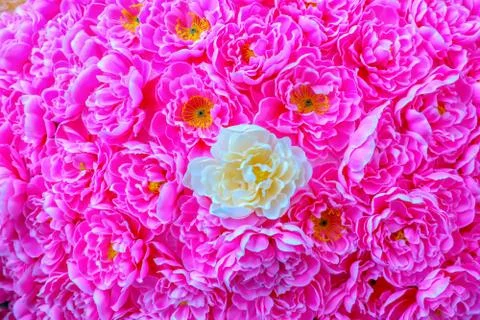 Artificial flowers Stock Photos