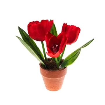 Artificial flowers Stock Photos