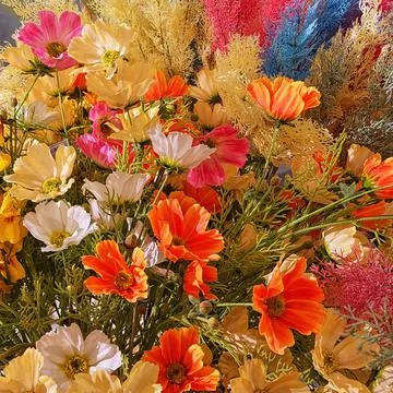 Artificial Flowers Stock Photos