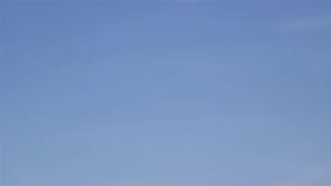 Artificial flowers on sky background. Stock Footage 76131265