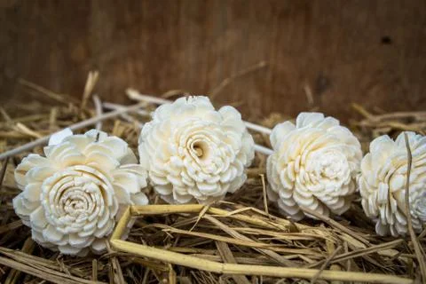 Artificial flowers on straw Stock Photos