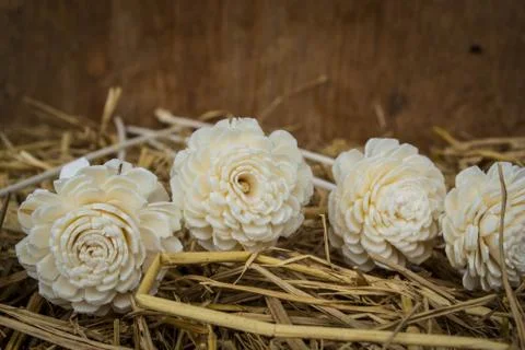 Artificial flowers on straw Stock Photos