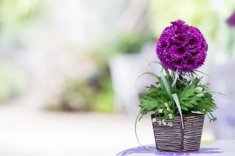 Artificial flowers on the table Stock Photos