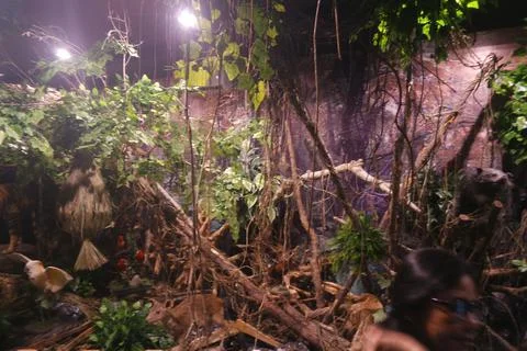 Artificial forest condition Stock Photos