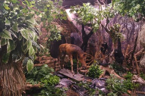 Artificial forest condition Stock Photos