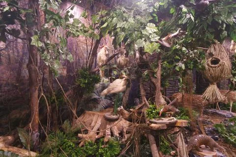 Artificial forest condition Stock Photos