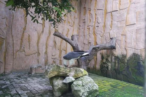 Artificial forest condition Stock Photos