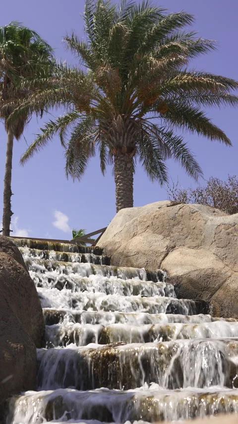 Artificial Fountain Gracefully Descending Steps Against a Palm Tree Backdrop Stock Footage 285772224