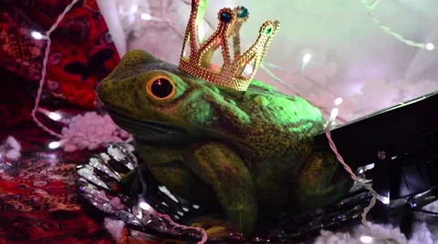 Artificial frog Stock Footage 59097656