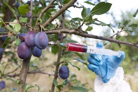 Artificial fruit coloring Stock Photos