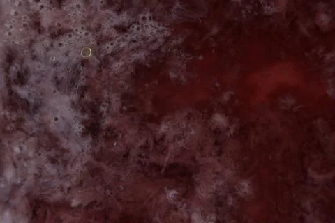 Artificial galaxy space nebula abstract fantasy original different Fotos Stock