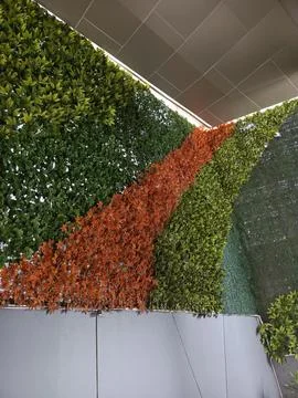 Artificial garden on the wall Stock Photos