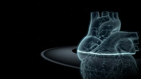 Artificial Glowing Vascular Network, 4K ProRes 库存影片 336363256