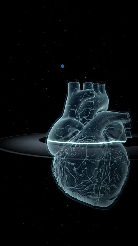 Artificial Glowing Vascular Network, Vertical Video 9:16 4K Stock Footage 336363238