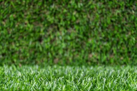 Artificial grass backdrop with selective focus. Stock Photos