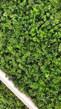 Artificial grass. Background from artificial plants. Artificial turf Stock Photos