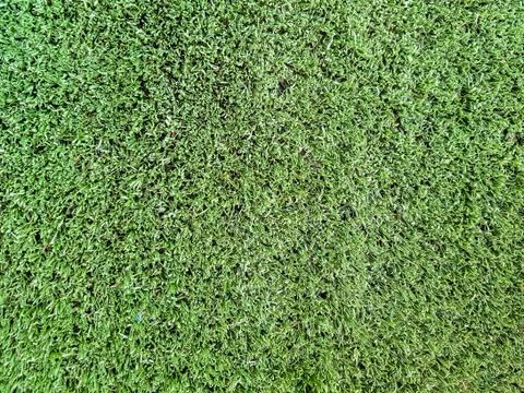 Artificial grass background Fotos de archivo
