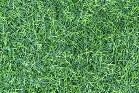 Artificial grass background texture Stock Photos