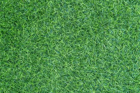 Artificial grass background texture Stock Photos