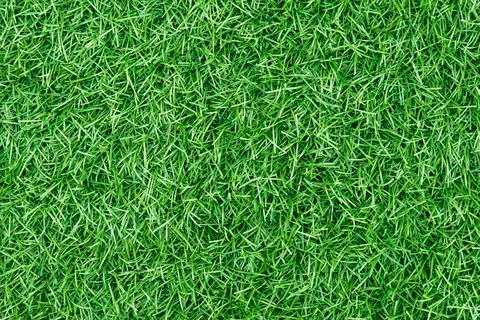 Artificial grass background texture Stock Photos