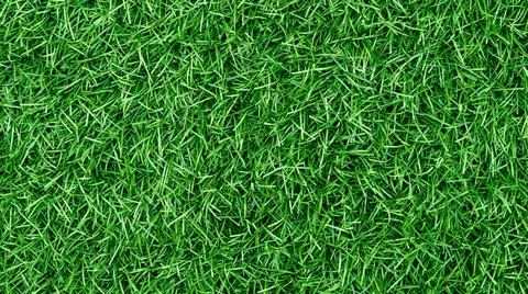 Artificial grass background texture Stock Photos