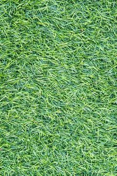 Artificial grass background texture Stock Photos