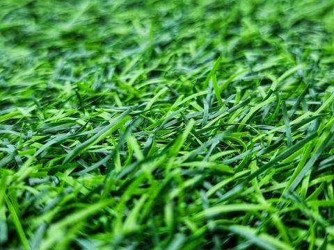 Artificial Grass Field. Close up macro shot. blur and focus at select point. Stock Photos