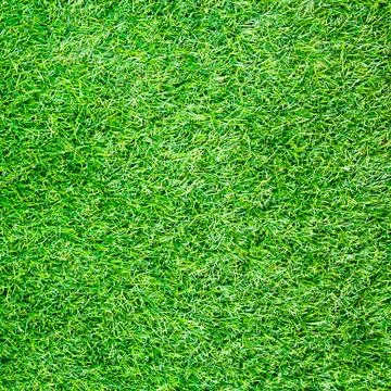 Artificial grass field top view texture Stock Photos