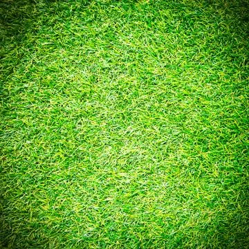 Artificial grass field top view texture Stock Photos