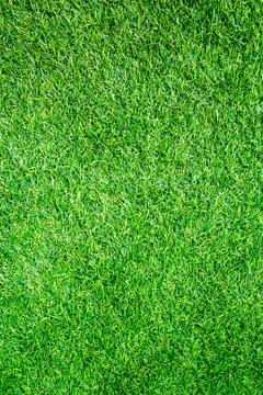 Artificial grass field top view texture Stock Photos