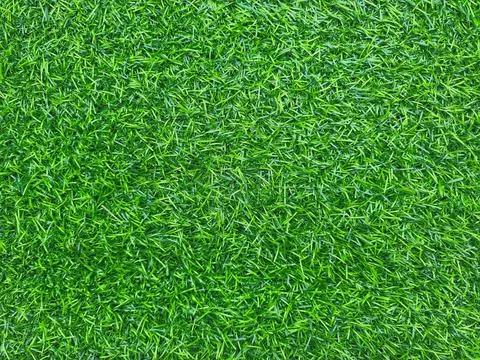 Artificial Grass Field Top View Texture Stock Photos
