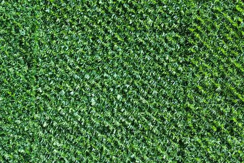 Artificial grass horizontal textured background, imitation of natural grass Foto stock
