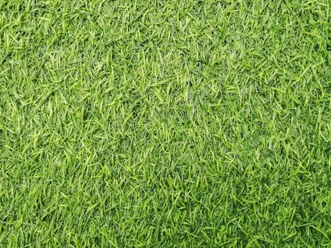 Artificial grass lawn texture. Artificial Turf Background. Greening with an a Stock-Fotos