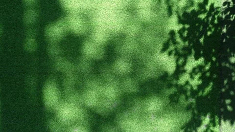 Artificial grass lawn turf with tree shadow under sunlight. Stock Footage 317438085
