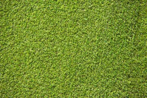 Artificial grass Stock Photos
