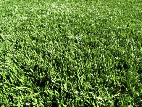 Artificial grass Stock Photos