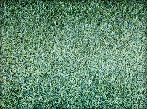 Artificial grass Stock Photos