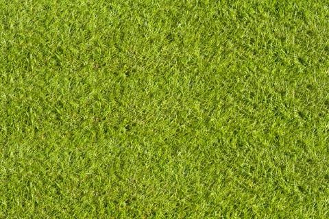 Artificial grass Stock Photos